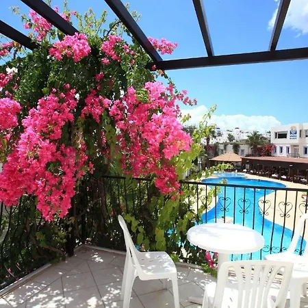 Club Paloma 3* Bodrum