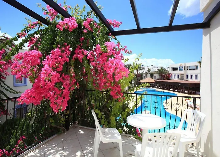 Club Paloma 3* Bodrum