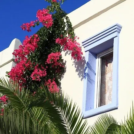 Ξενοδοχείο με διαμερίσματα Club Paloma Αλικαρνασσός