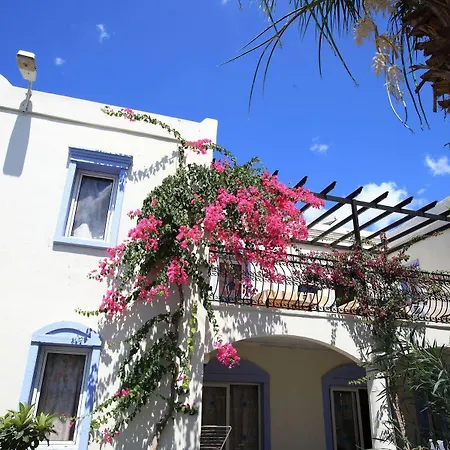 Club Paloma Αλικαρνασσός