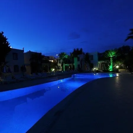 Club Paloma Αλικαρνασσός