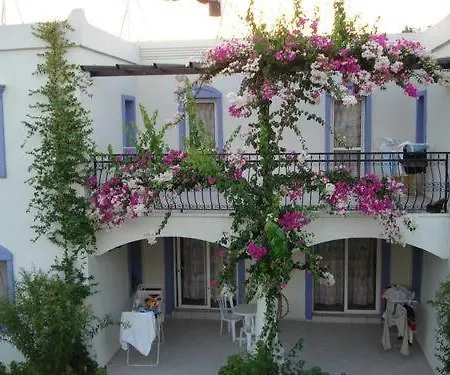Club Paloma 3*